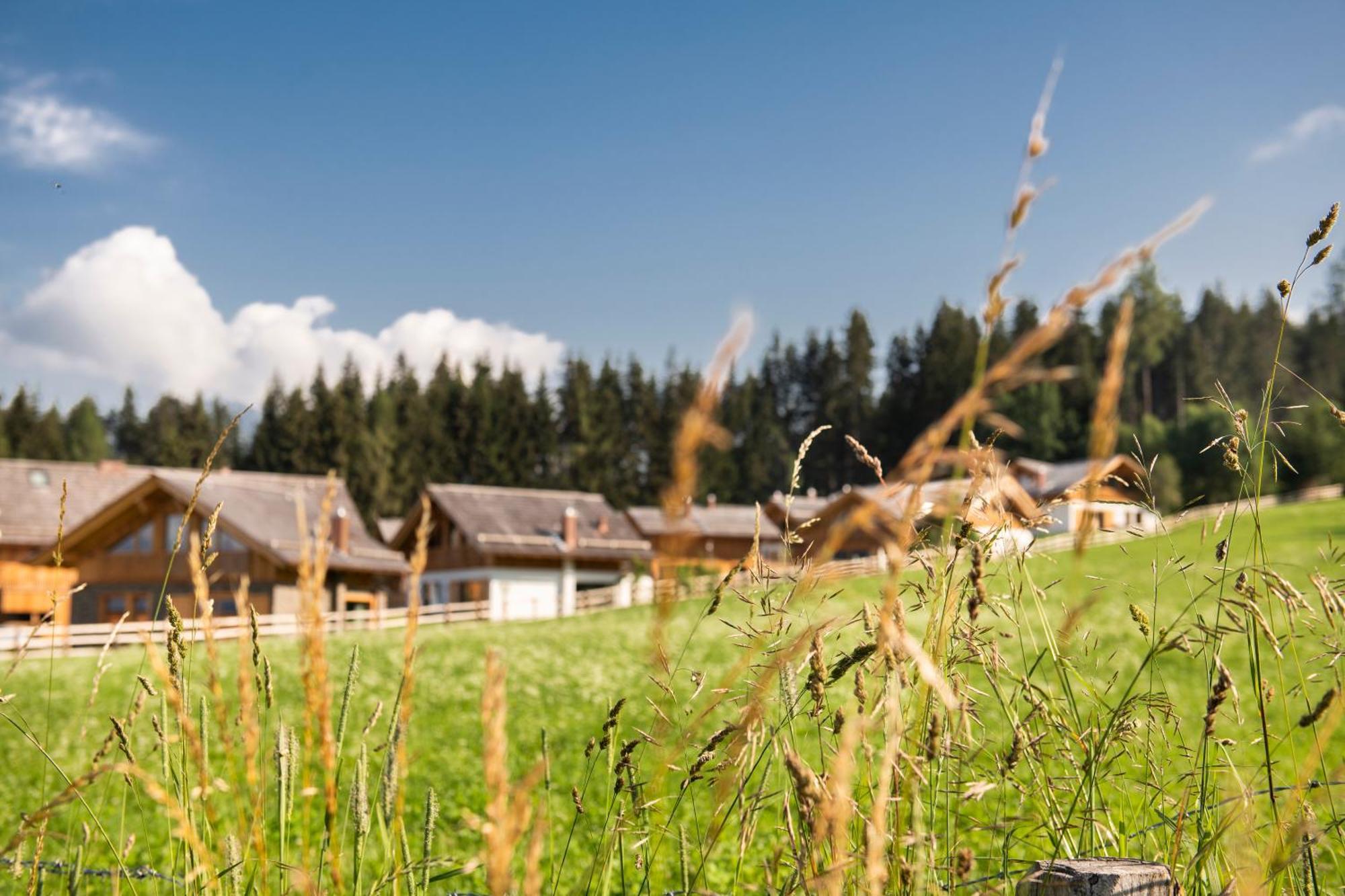 Lerchpeuntgut Alpenfreud Apartments Tamsweg Exterior photo