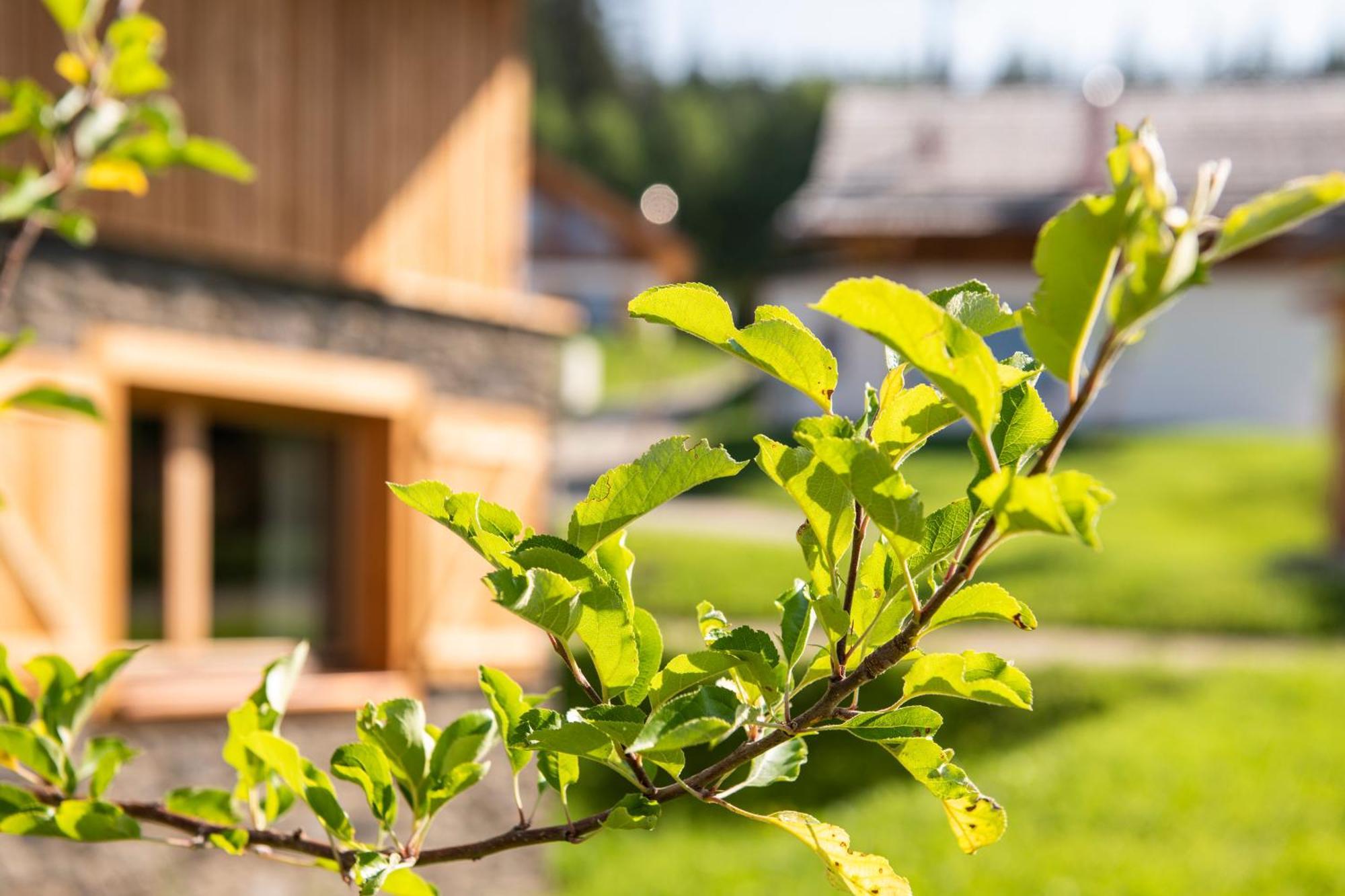 Lerchpeuntgut Alpenfreud Apartments Tamsweg Exterior photo